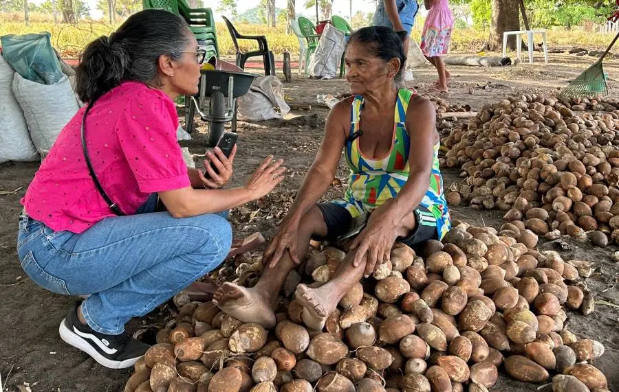 Exposição “Somos Raimunda” exalta quebradeiras de coco babaçu no Bico do Papagaio 