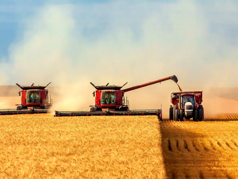 Tocantins tem o quarto maior aumento no PIB entre os estados brasileiros em 2022