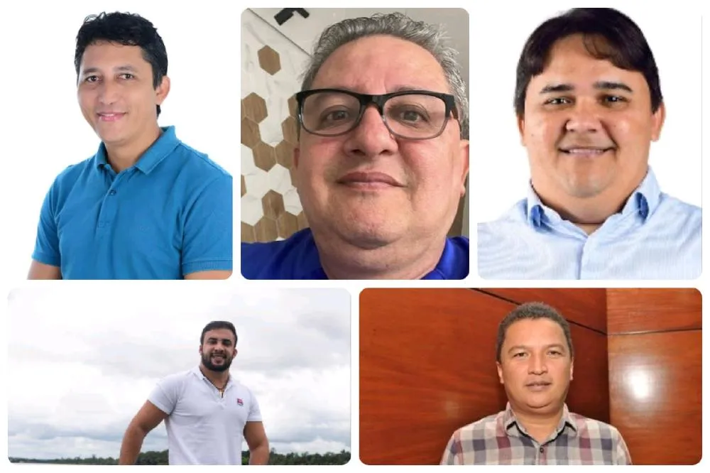 Os cinco principais nomes do Bico do Papagaio que podem disputar vagas na Assembleia Legislativa e Câmara Federal 