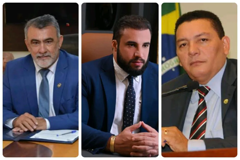 O Bico do Papagaio como protagonista. Ou: de região esquecida à potência eleitoral 