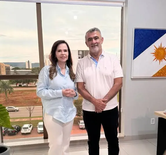 Dorinha inicia conversas com o grupo palaciano e pode indicar vice de Amélio, dizem palacianos