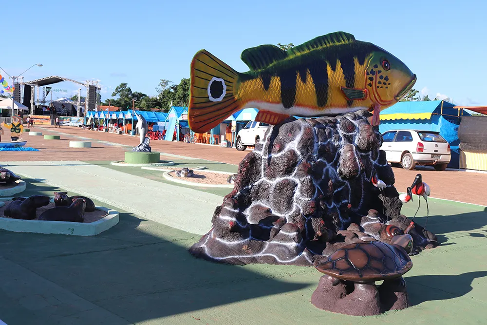 De patinho feio a um lindo cisne. Com quase 180 mil eleitores Bico do Papagaio pode ser o fiel da balança nas eleições de 2026